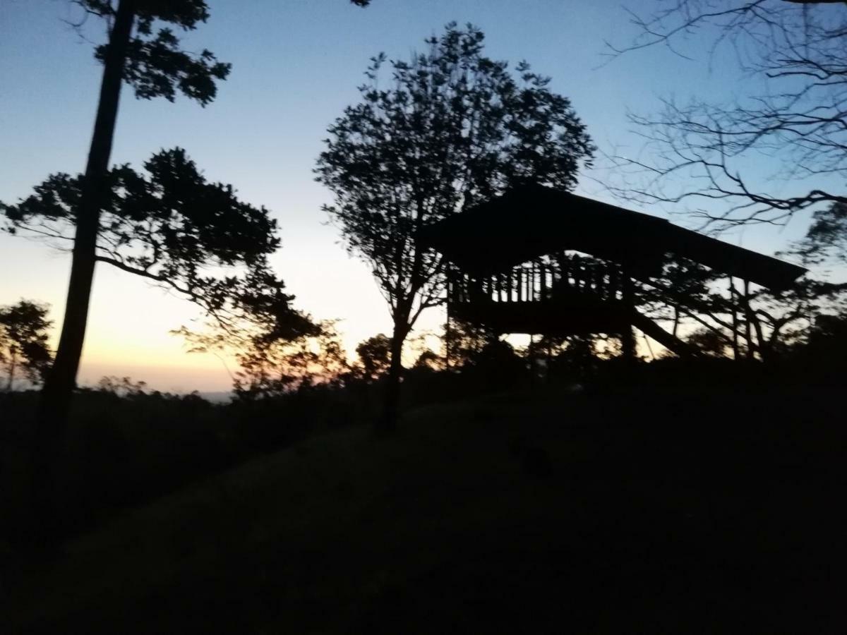 Cecropia Ecolodge La Fortuna Exterior foto